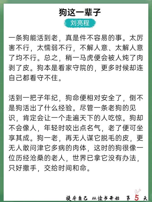 总裁被狗教训反被安慰，打人指控无果，狗显超凡智慧（总裁被一只狗狗教训了这条狗真是成精了）