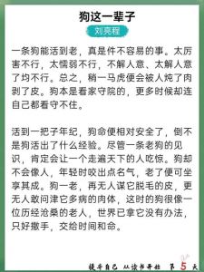 总裁被狗教训反被安慰，打人指控无果，狗显超凡智慧（总裁被一只狗狗教训了这条狗真是成精了）