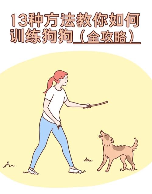 统一口令手势教狗狗，耐心奖励保安全（训狗口令和手势图解）