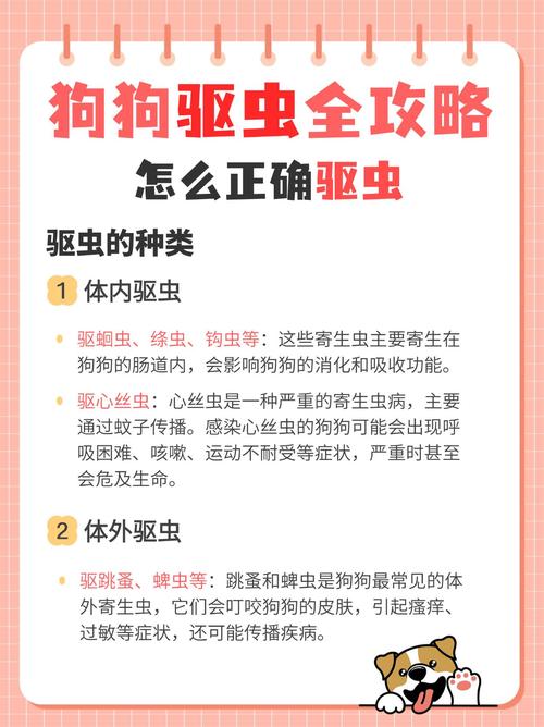 狗狗洗澡后多久能体外驱虫？（狗洗完澡能体外驱虫吗）