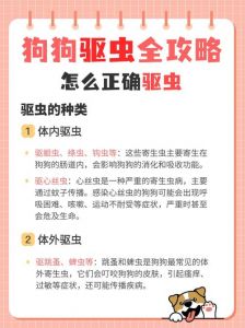 狗狗洗澡后多久能体外驱虫？（狗洗完澡能体外驱虫吗）