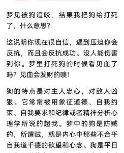 狗狗不听话？试试这几种方法！（能到狗不听话在打狗）