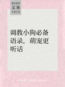 尊重独立性，传递真关怀（如何把女友调成听话小狗）