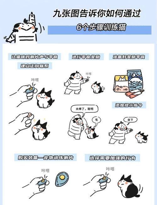 胆小猫咪如何变自信？（猫咪太胆小了怎么锻炼）