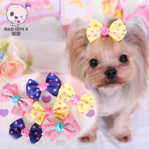 柴犬戴波点蝴蝶结逛市集，见证成长与温情（狗狗蝴蝶结 膨大 样子）