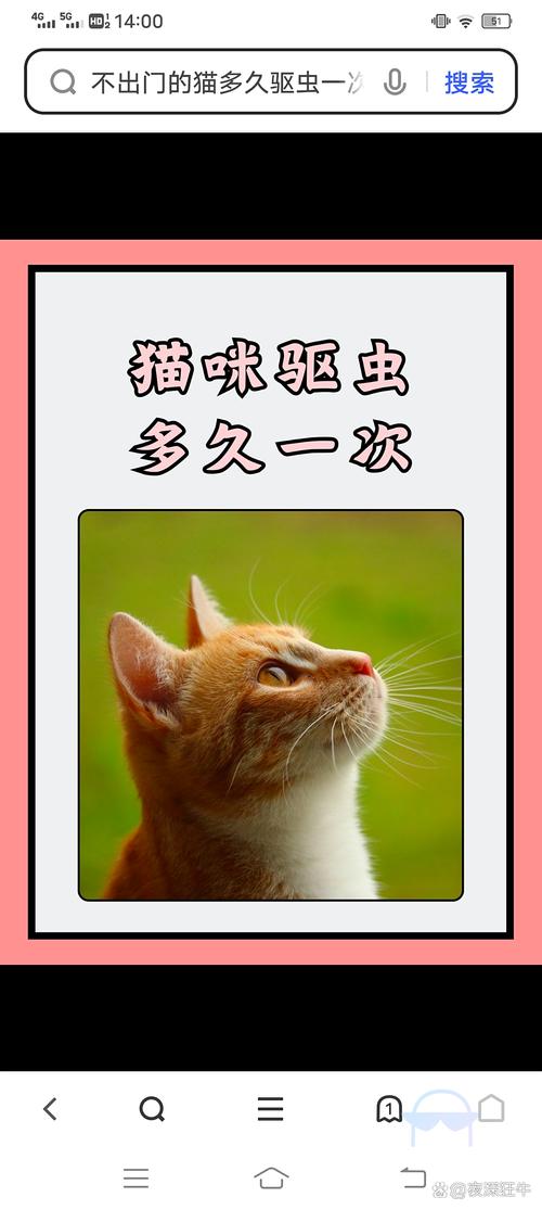 科学喂养小猫，注意驱虫年龄与剂量（小猫一般多久驱虫一次）