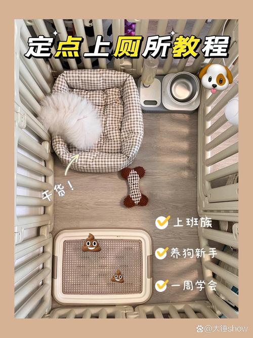 防溅立杆设计，幼犬适用（如何挑选适合小狗的狗厕所）