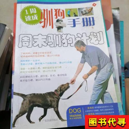 江黎重回江家，十三海边遇险，伊瑟尔欲同归于尽，洛焉遭虐（驯狗手册周末驯狗计划）