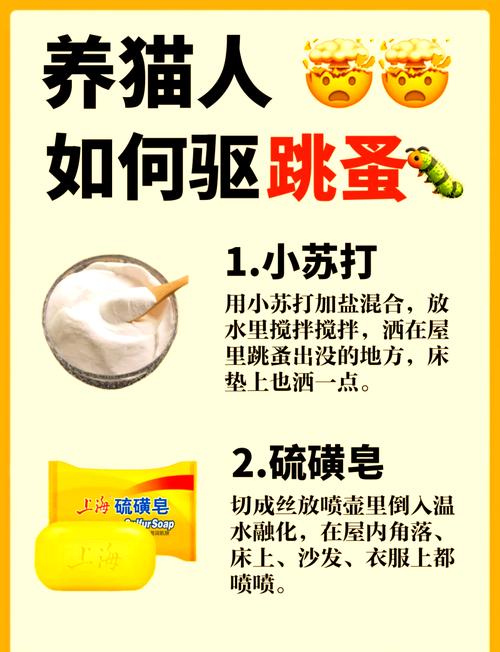 猫跳蚤多？试试醋水柠檬汁除跳蚤（去猫身上跳蚤最简单的方法）