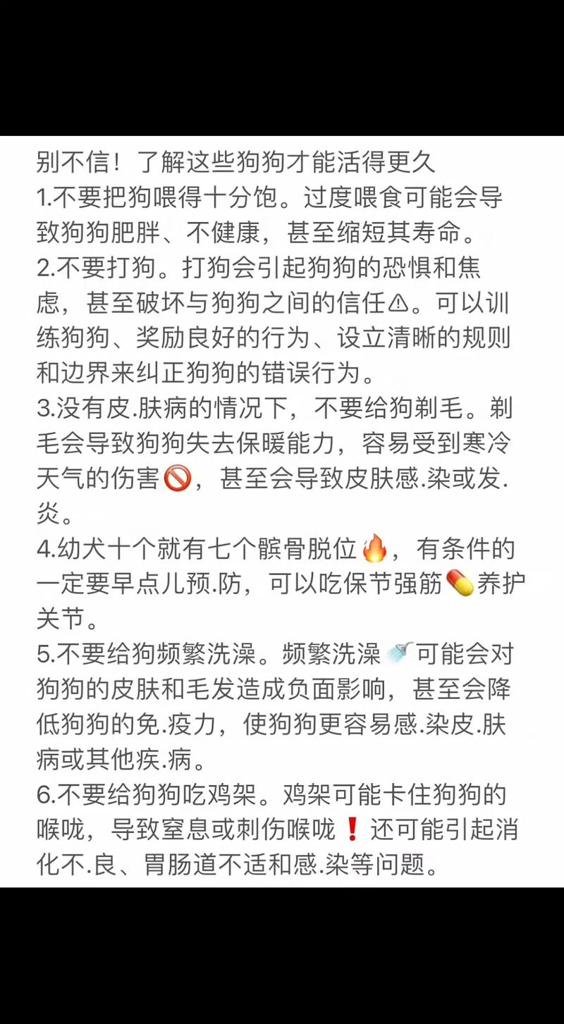 平衡运动与科学饮食（怎么养狗活的才活的久）
