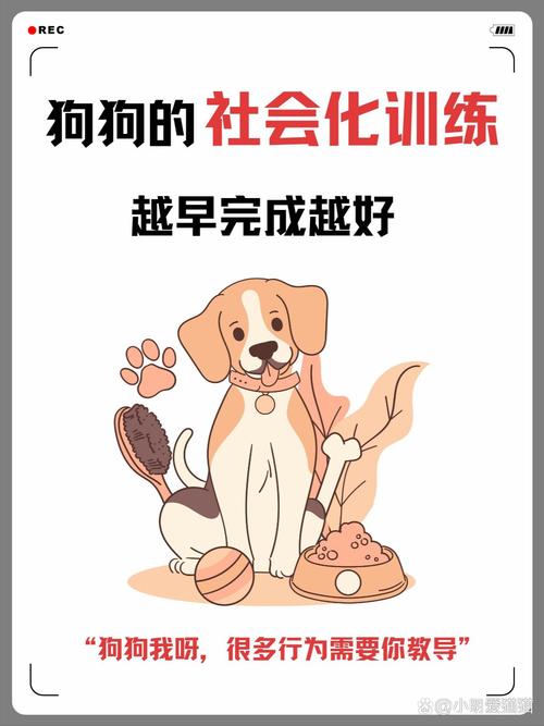 口令手势+心理理解，和谐相处！（正确的训狗方法漫画）