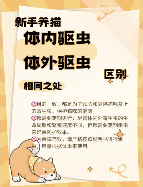 选对猫专用驱虫药，科学防病保健康（给猫咪体外驱虫有什么注意事项）