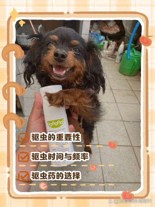 狗狗洗澡后3-4天再驱虫，避免皮肤刺激和效果降低（小狗洗完澡可以做驱虫吗）