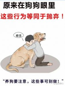 狗狗忠诚顺从主人心态解读（主人虐狗狗会反抗吗）
