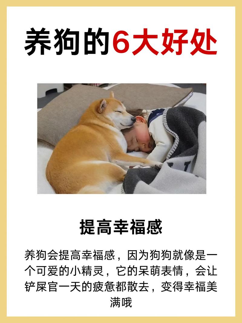 天价狼犬4125万，宠物变投资生意（有钱人养狗可以有多疯狂）