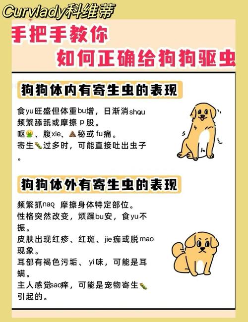 内外驱虫一起做，安全有效要记牢！（狗狗内外驱要一起吗）