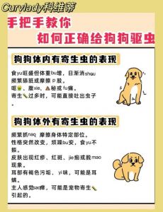 狗狗内外驱虫可同做，口服间隔一周（狗狗体内驱虫和体外能一起吗）