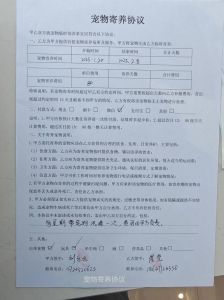 责任与权利明确（母狗认主饲养协议书）