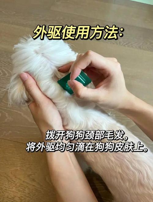 洗澡会冲走狗狗驱虫药，注意用药时间！（小狗洗完澡可以驱虫吗）
