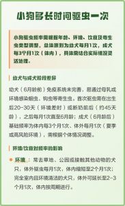 幼犬2周1次驱虫至6个月，成年犬3个月1次，做好驱虫记录很重要！（狗狗体内驱虫多久一次最好）