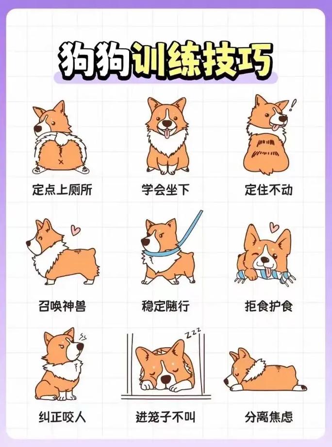 别把伴侣当小狗训，尊重独立性才亲密（不听话怎么把女朋友训练成狗）