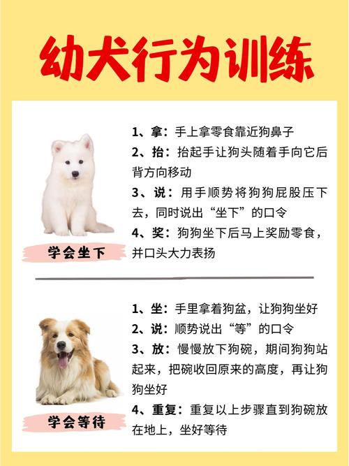 动作比语言管用，坚持奖励，耐心引导（训狗方法）