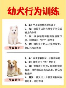 饮食睡眠与情感忠告（男方做女方的小狗要听话服从）