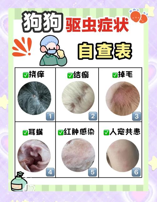 幼犬断奶后即驱虫，成犬按环境调整，定期驱虫保健康（狗狗什么时候可以驱虫）