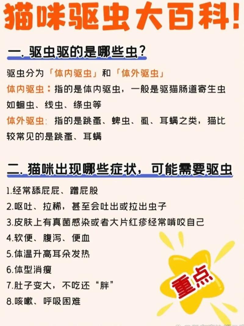 猫咪内外驱虫多久一次？幼猫和常出门的要注意！（小猫内外驱虫分别多久一次）