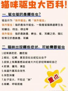 猫咪内外驱虫多久一次？幼猫和常出门的要注意！（小猫内外驱虫分别多久一次）