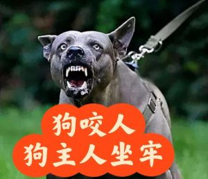 打狗伤人怎么办？保留证据协商或报警（狗被人打了怎么办）