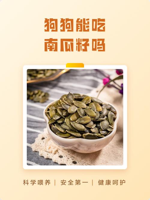 南瓜皮煮熟喂狗狗，助消化驱虫，幼犬不宜生食（狗狗能生吃南瓜皮吗）