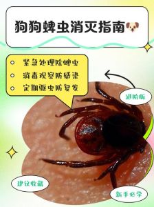 狗狗掉毛多？蜱虫饮食都可能导致！（有蜱虫会造成狗狗掉毛严重吗）