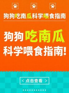 喂狗狗南瓜好处多，注意别过量要蒸熟（狗狗吃老南瓜好消化吗）