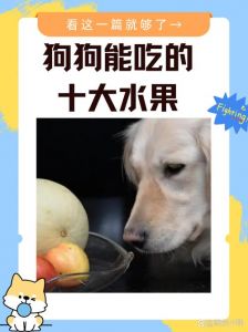 狗狗能吃苹果吗？好处与注意事项（狗狗吃苹果的好处和坏处）