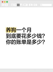 养狗开销大？费用预算与注意事项（养狗每个月要花费多少）
