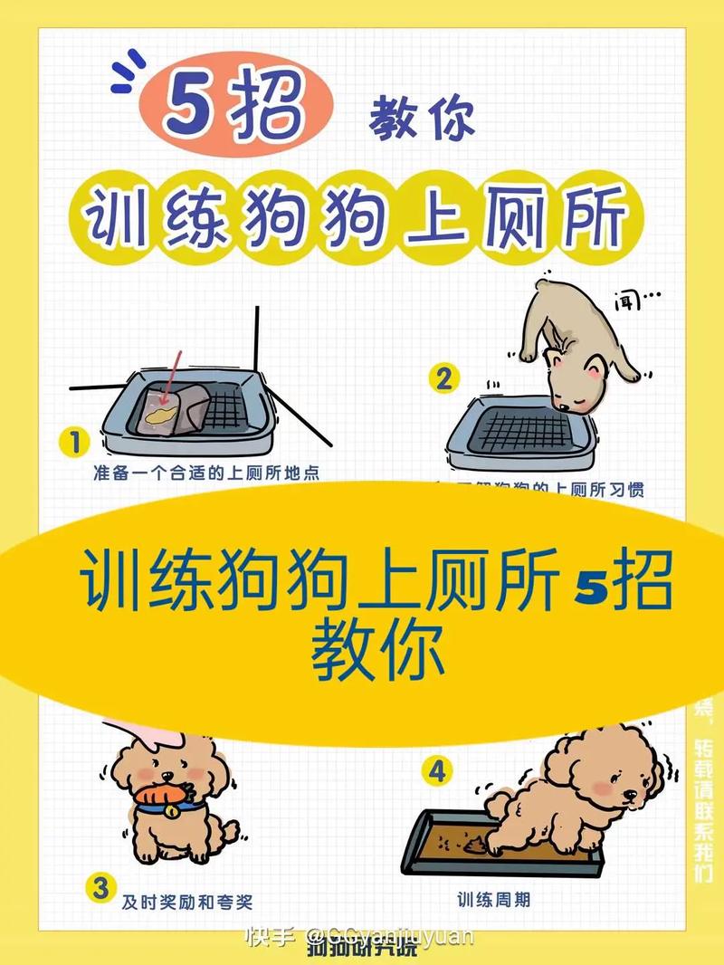柚子皮防狗尿,薄荷香薰也有效(驱赶狗拉屎拉尿最有效方法) 柚子皮防狗尿,薄荷香薰也有效(驱赶狗拉屎拉尿最有效方法)