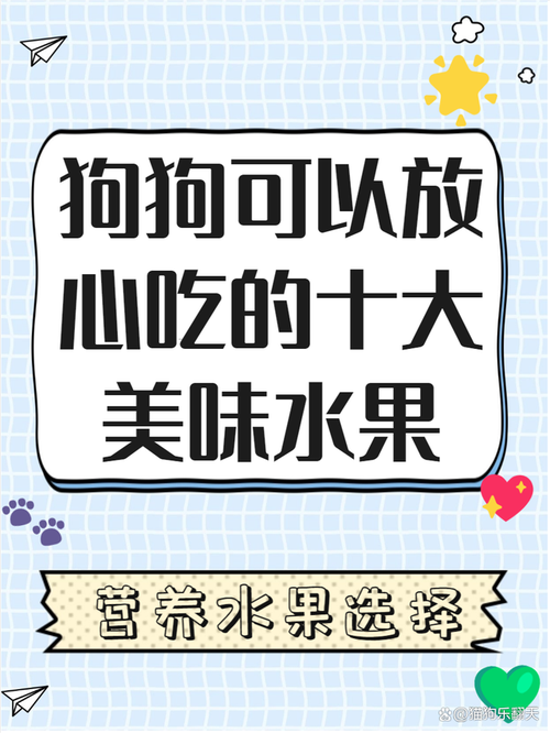 狗狗吃蓝莓好处多，但要注意适量哦！（狗狗吃蓝莓有什么好处）