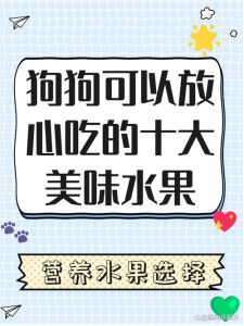 狗狗吃蓝莓好处多，但要注意适量哦！（狗狗吃蓝莓有什么好处）