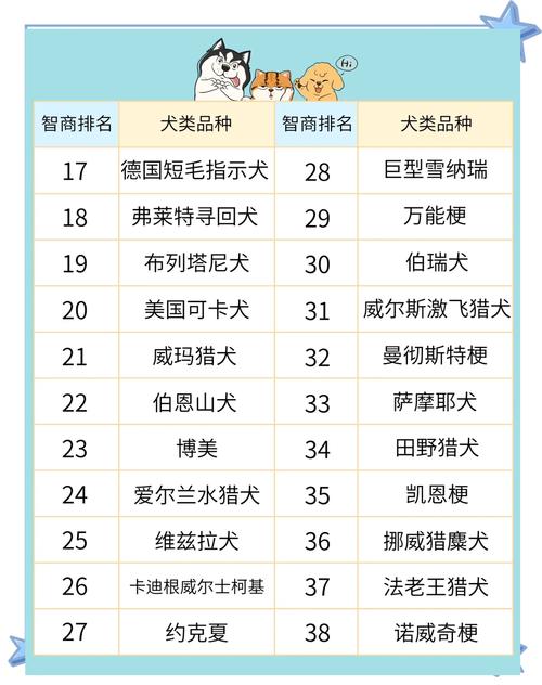 科伦博士智商榜（聪明的狗狗排名1一10）