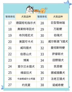 科伦博士智商榜（聪明的狗狗排名1一10）