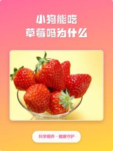 草莓对狗狗有害，不宜喂食（狗吃草莓有什么危害）