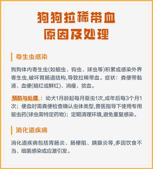 狗狗拉血急送医，主人速查原因！（狗狗拉稀拉血）