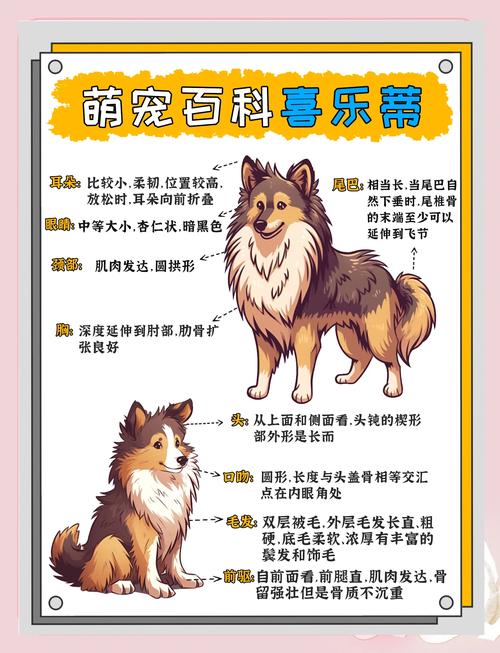 体型性格分类选适合(狗品种大全100种) 体型性格分类选适合(狗品种大全100种)