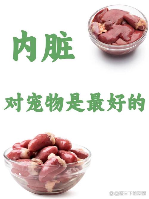 鸡肝营养好 喂食要适量（狗狗吃鸡肝的好处）