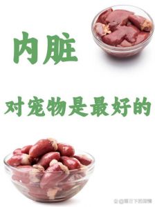 鸡肝营养好 喂食要适量（狗狗吃鸡肝的好处）