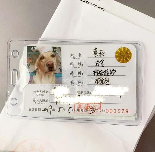三月龄有住所完免疫,当场办,需年检(家养养狗要办狗证吗) 三月龄有住所完免疫,当场办,需年检(家养养狗要办狗证吗)