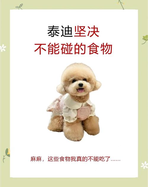 牛油果洋葱勿喂,狗粮要选好!(泰迪狗不能吃什么水果) 牛油果洋葱勿喂,狗粮要选好!(泰迪狗不能吃什么水果)