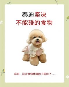 牛油果洋葱勿喂，狗粮要选好！（泰迪狗不能吃什么水果）
