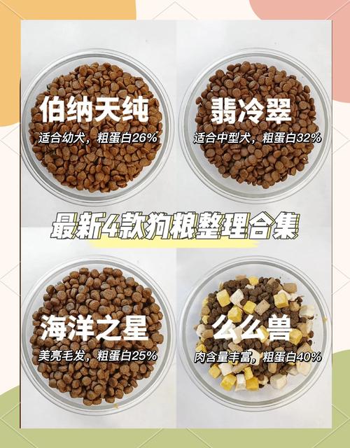 长期吃狗粮伤狗狗?均衡营养是关键!(狗狗经常吃狗粮有什么影响) 长期吃狗粮伤狗狗?均衡营养是关键!(狗狗经常吃狗粮有什么影响)